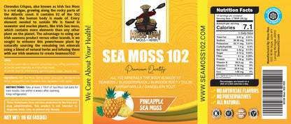 Sea Moss 102 Pineapple